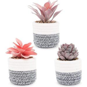 NEW set of 3 faux succulents in rope baskets 🌱